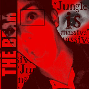 the bear v1